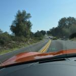 Julian_0030 (October 11, 2015)